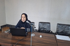 برگزاری سمینار استانی آموزش مداوم فرایند آموزش به بیمار و آشنایی با ابزار PEMAT